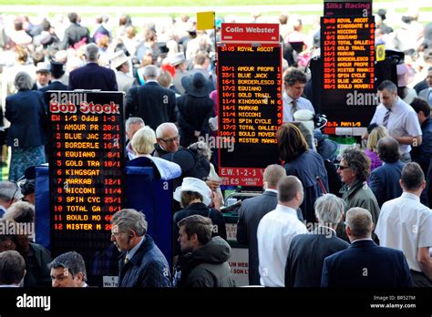 bookmakers odds